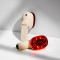 MOEV	Hair Steamer Pro 